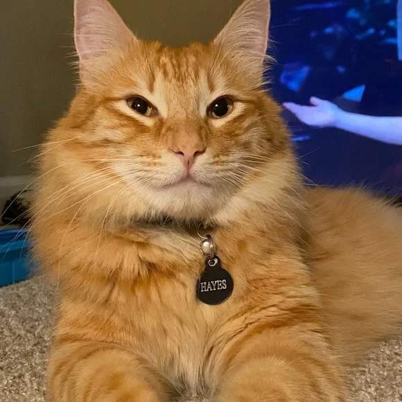 Suggested User & Fast Shipper ! - Picture 11 of 14